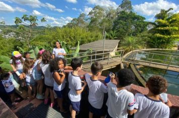 Foto - Educação Ambiental